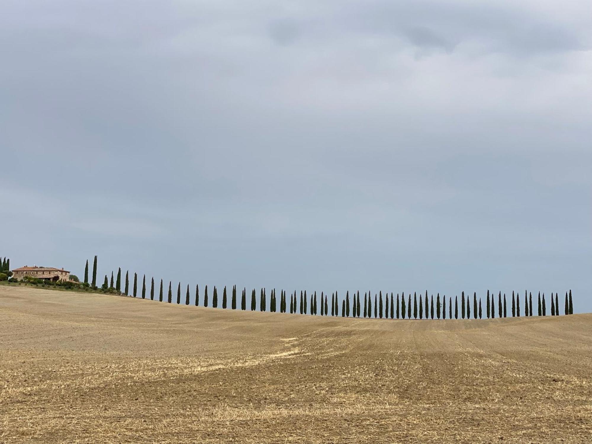 La Bellavista Decameron View Certaldo Zewnętrze zdjęcie
